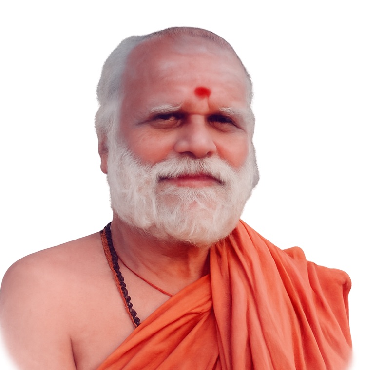 स्वामी सदानन्द सरस्वती वेदान्ती स्वामी