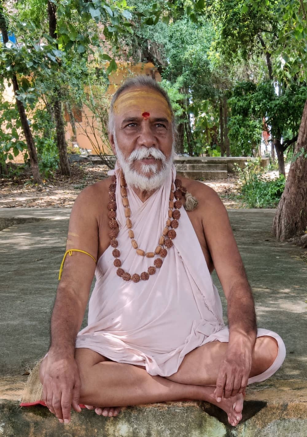 स्वामी श्री धरणानन्द सरस्वती जी महाराज का चित्र